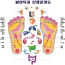 발건강마사지 이미지