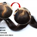 천연헤어염색 네이버블로그