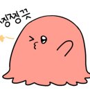 서울쿠키 와플샵 이미지