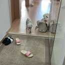 견생원 이미지