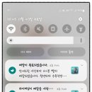 수유피자맛집 청년피자