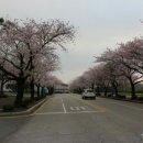 목포대학교골프연습장 이미지