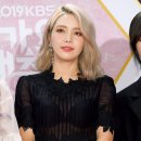 솔라 카카오 검색결과