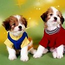 어미들 농장 이미지