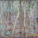 백동무궁화동산 이미지