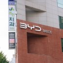 합정오토 | BYD 브리즈 합정 홍대 카페형 마포전시장 방문 후기 (전기차 씨라이언7 아토3 씰 가격)