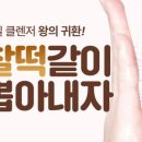 올리데이 이미지