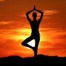 요가&스트레칭 이미지