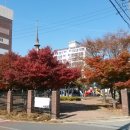 고쌈식당 이미지