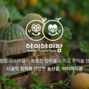 야미야미 이미지