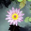 중앙안전 이미지