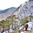 가리산주유소 이미지