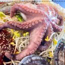 해물,그리고 이미지