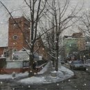 광화문연가 이미지