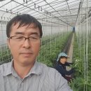 신나농장 이미지