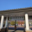 세종파크 | 세종 베어트리파크 아기랑 방문후기(천안 아산 근교 아이랑 방문하기 좋은 곳)