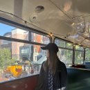 하니멍's(하니멍쓰) | #38 [홋카이도 여행]_시로이코이비토 파크, 삿포로역에서 아사히카와역 S킷뿌