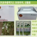 차인지웰빙식품