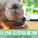 신디즈