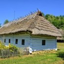 성실행정사사무소 이미지