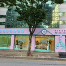 풍암동애견미용실 우리 아이 케어 잘한 곳 개똥이와야옹이 후기