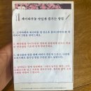 모리참치 | [원주 모리] 제이타쿠동 맛집 내돈내산 솔직후기 (・﹃・)