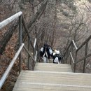 이뮨팩토리