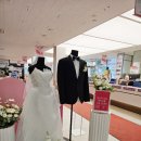 광성슈퍼 | 용인이사가전 준비하며 다녀온 LG전자 베스트샵 죽전본점 슈퍼위크 후기