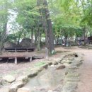 천황자동차야영장 이미지