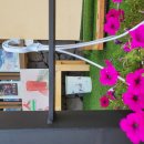 윗속말 | 최명희 대하소설 9권 "혼불" 2025년 129권