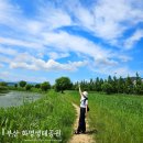 [부산 화명동 가볼만한 곳 추천] 6월 여름날의 낙동강 하구 &#34;화명생태공원&#34; 걸어서 시원한 산책하기...