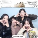울산 북구호계 카페 포레스트뷰가 예쁜 [카페드솔]🍃