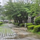 국수집 - 남원시 남문로 399-5 | 팔당 동동국수집 육칼 후기, 미농앤동동국수집 주차 웨이팅
