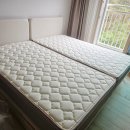 그린풍경 | 침대 대구매트리스 대구금성침대 [배송후기] 달서구 수목원 풍경그린, 가성비 끝판왕 '에어메쉬유로탑5...