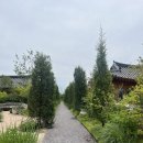 헤리티지유와 | [경주숙소] 10만원대 가성비 한옥 숙소 내돈내산 후기/ 헤리티지유와 105호