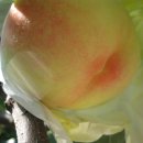 감곡농장 이미지