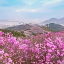 서부탑주유소 이미지
