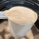 골드웨이1 | 옵티멈 플래티넘 하이드로웨이 후기｜운동하는 남편 선물로 이만한 게 없다