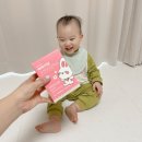 쓰담 | 돌아기 유산균 뭐 먹일까? 배배쓰담 먹여본 후기