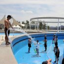 잠원야외수영장 이미지