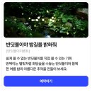 우성축산물도;소매센터 | 결국 화담숲 반딧불이 축제, 1분컷 예약 성공 비결은?