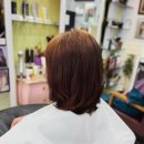 헤어두비취 이미지