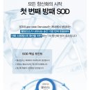 (주)에스파트너스