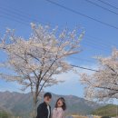 진원면주민자치센터 이미지