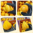 [ 쌈배추 할인 ] 햇 쌈배추 15포기 16,000원 // 꿀참외 10키로 // 대추 방울토마토 이미지