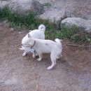 어울펜션 이미지