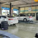 애니카랜드 서세종점 이미지