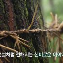 수통1리 경로당 | TJB 화첩기행 금강(6부 물길 미식기행) 화가 한수희와 떠나는 - 전북 무주군 앞섬마을- 충북 영동군...