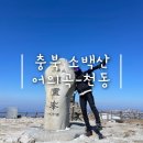 (주) 천지관광 | [충북/단양] 겨울 2월 설산 &lt;소백산&gt; 어의곡 천동 후기 / 나의 첫 안내버스 도전기