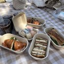 엘아르카 수성점 | [일상] 올해도 🌸벚꽃🌸 구경 열심히 다닌 4월 일상